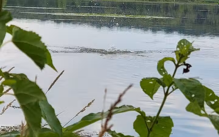Spring Valley Wildlife Area Parking - Waynesville, OH