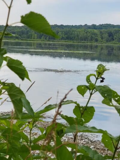 Spring Valley Wildlife Area Parking - Waynesville, OH
