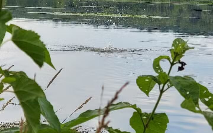 Spring Valley Wildlife Area Parking - Waynesville, OH