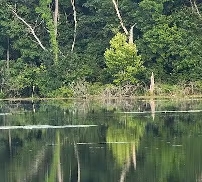 Spring Valley Wildlife Area Parking - Waynesville, OH