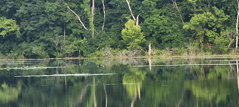 Spring Valley Wildlife Area Parking - Waynesville, OH