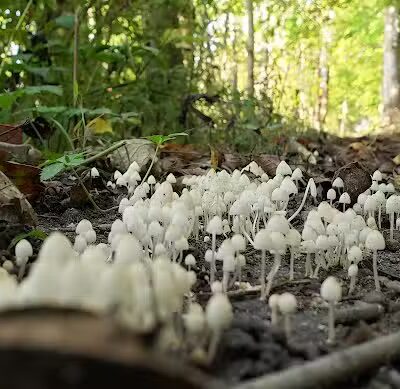 Spring Valley Wildlife Area Parking - Waynesville, OH