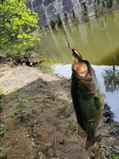 Wellington Reservoir Park - Wellington, OH