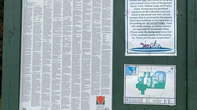 Wellington Reservoir Park - Wellington, OH