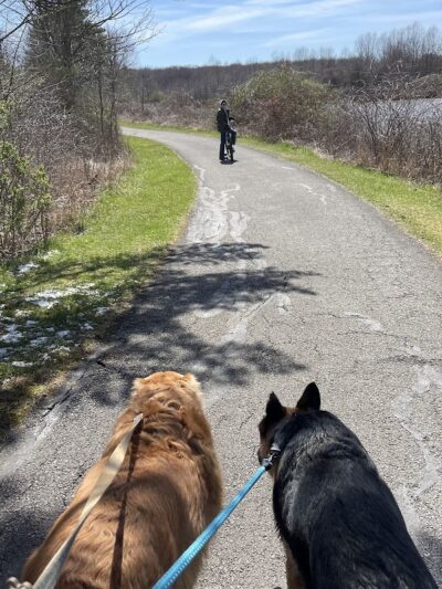Wellington Reservoir Park - Wellington, OH