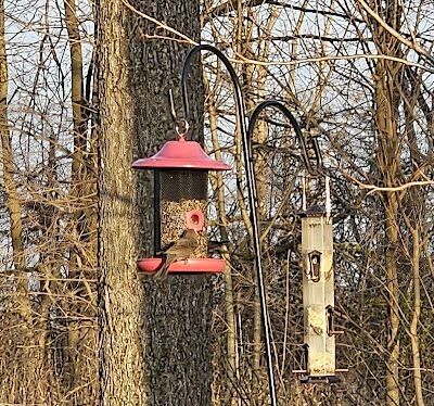 Wellington Reservoir Park - Wellington, OH