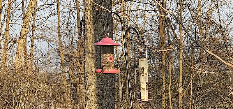 Wellington Reservoir Park - Wellington, OH