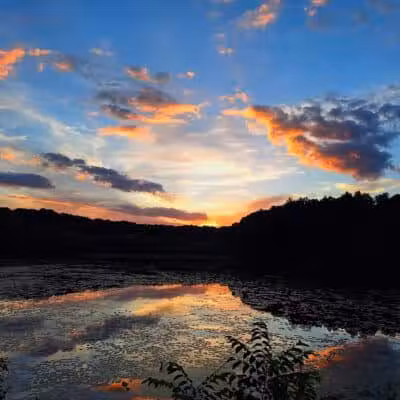 Lake Alma State Park - Wellston, OH