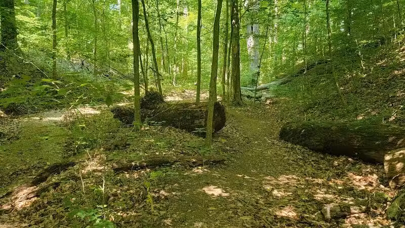 Lake Alma State Park - Wellston, OH