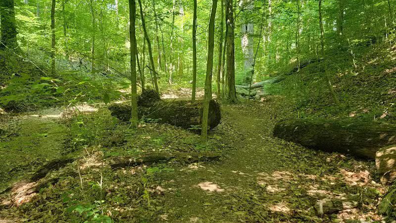 Lake Alma State Park - Wellston, OH