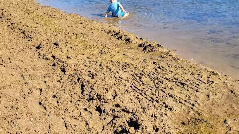 Lake Alma State Park - Wellston, OH
