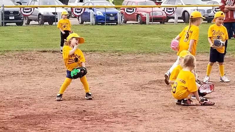 Wellston Ballfields - Wellston, OH