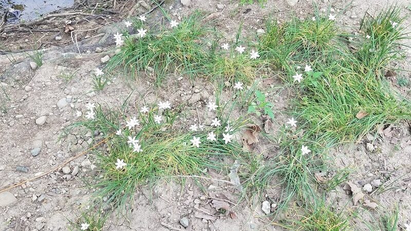 Smith Street Park - West Alexandria, OH