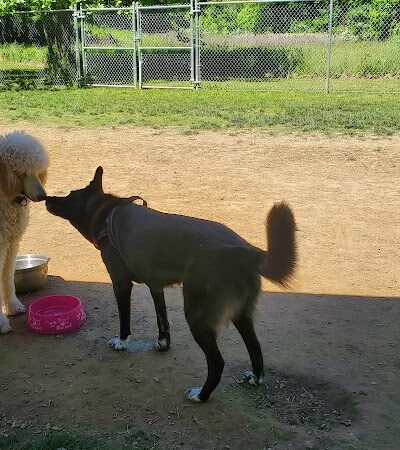 Hopewell Dog Park - West Aliquippa, PA