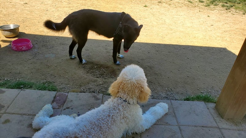 Hopewell Dog Park - West Aliquippa, PA