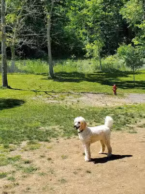 Hopewell Dog Park - West Aliquippa, PA