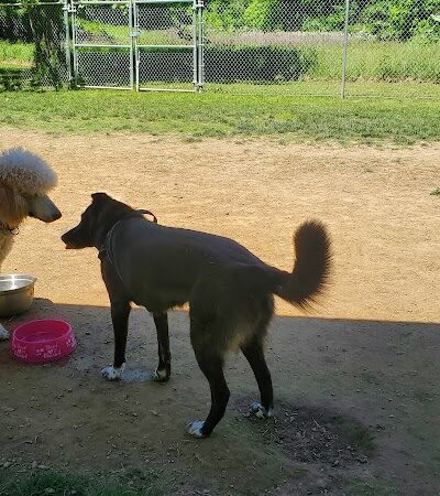 Hopewell Dog Park - West Aliquippa, PA
