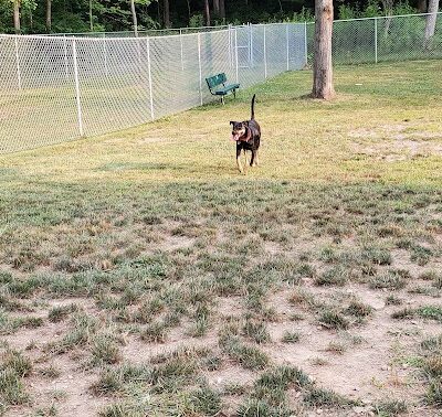 Hopewell Dog Park - West Aliquippa, PA
