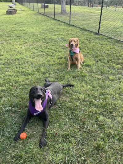 Hintermeister Park - West Carrollton, OH