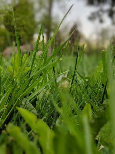 Hintermeister Park - West Carrollton, OH