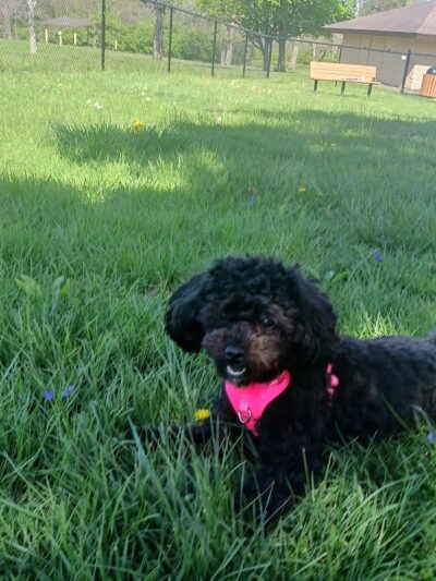 Hintermeister Park - West Carrollton, OH