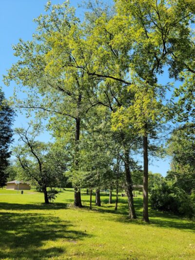 Hintermeister Park - West Carrollton, OH