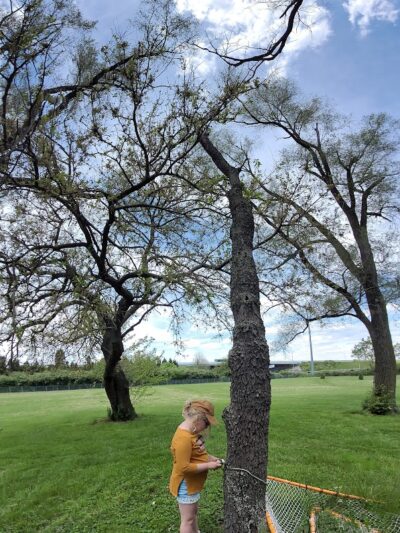 Leiwig Park - West Carrollton, OH
