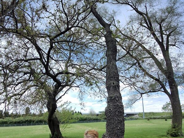 Leiwig Park - West Carrollton, OH