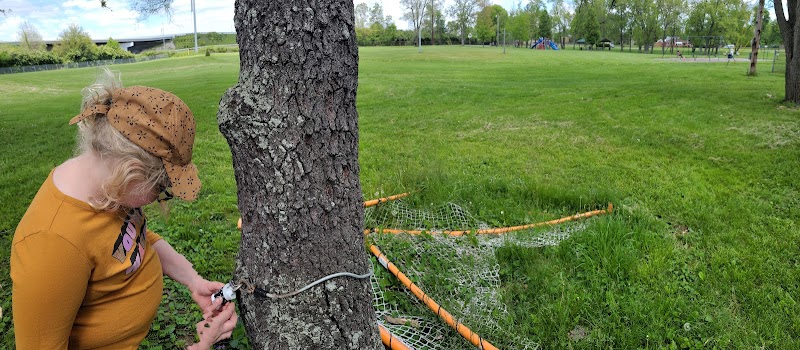 Leiwig Park - West Carrollton, OH