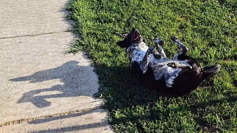 West Goshen Township Dog Park - West Chester, PA