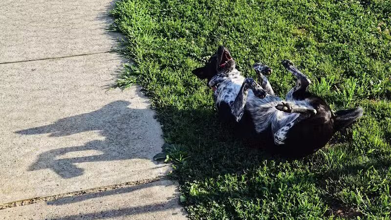 West Goshen Township Dog Park - West Chester, PA