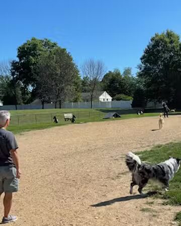 West Goshen Township Dog Park - West Chester, PA
