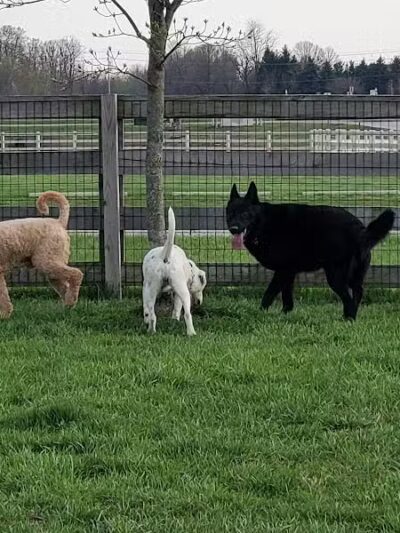 Metro Parks - West Chester Township, OH