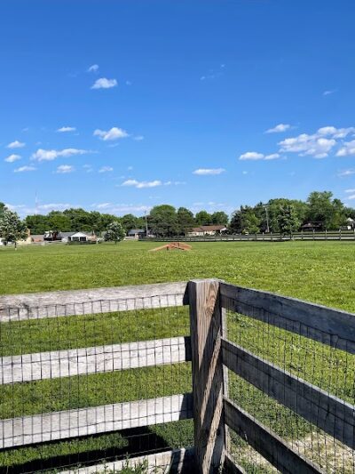Wiggly Field Dog Park - West Chester Township, OH