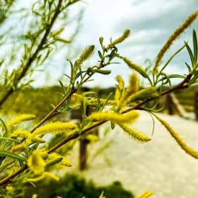Big Darby Creek Bridge - West Jefferson, OH