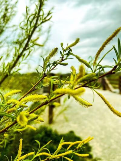 Big Darby Creek Bridge - West Jefferson, OH