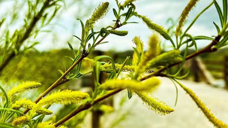 Big Darby Creek Bridge - West Jefferson, OH