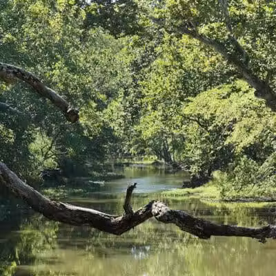 Big Darby Creek Bridge - West Jefferson, OH