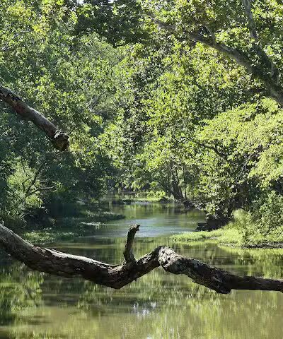 Big Darby Creek Bridge - West Jefferson, OH