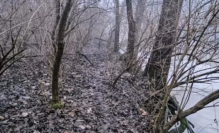 Jefferson Township Community Park and Fishing Access - West Jefferson, OH