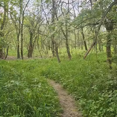 Prairie Oaks Hiking Trail - West Jefferson, OH