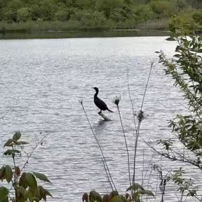 Prairie Oaks Hiking Trail - West Jefferson, OH