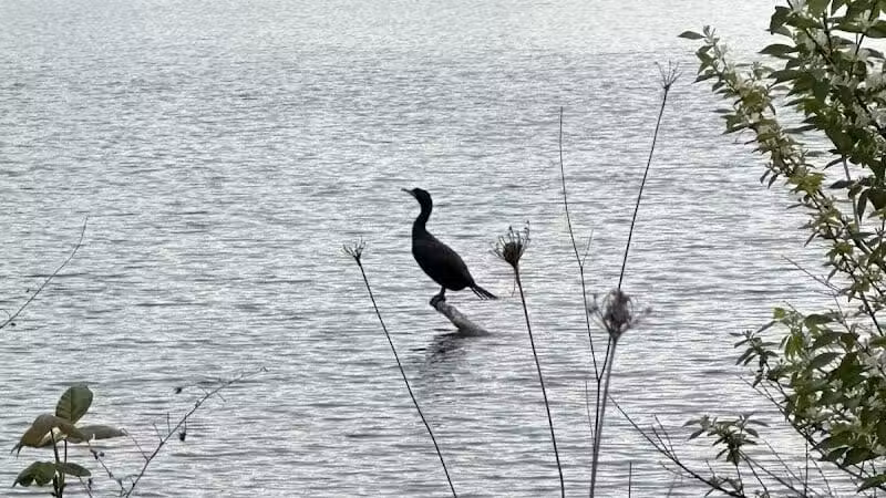 Prairie Oaks Hiking Trail - West Jefferson, OH