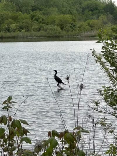 Prairie Oaks Hiking Trail - West Jefferson, OH