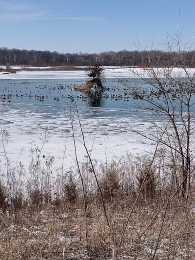 Prairie Oaks Metro Park - West Jefferson, OH