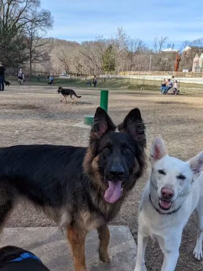 Happy Hollow Park Dog Park - West Lafayette, IN