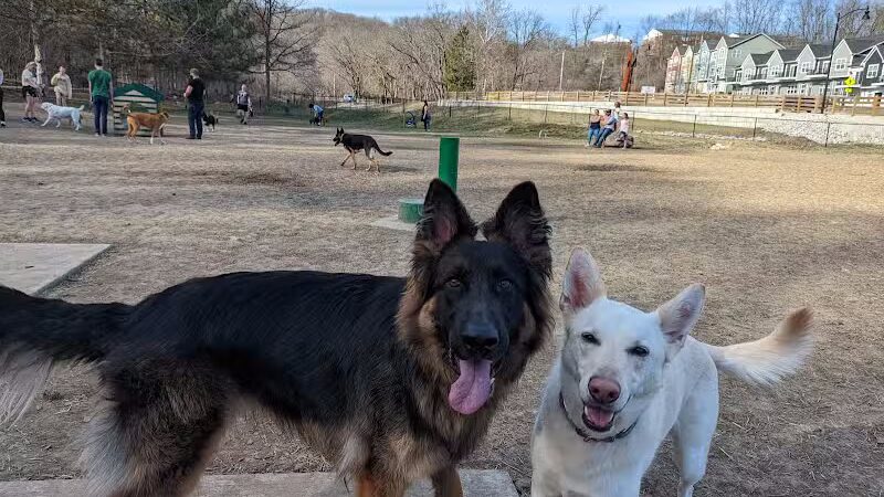 Happy Hollow Park Dog Park - West Lafayette, IN