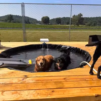 All Paws on Deck Grooming, LLC - West Lafayette, OH