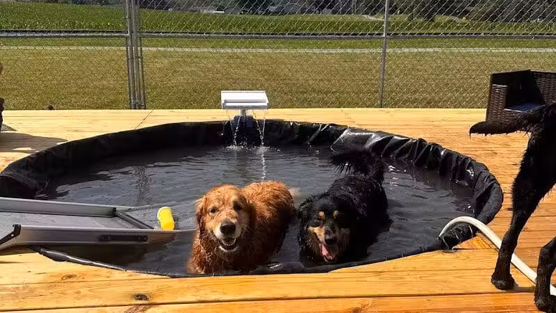 All Paws on Deck Grooming, LLC - West Lafayette, OH