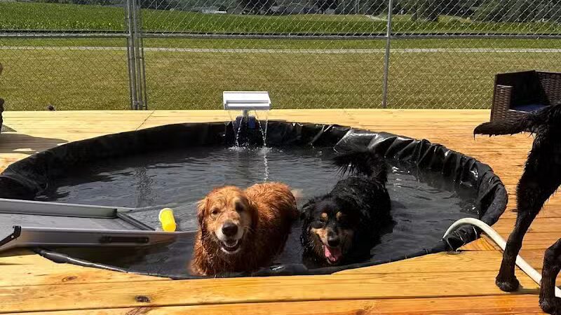 All Paws on Deck Grooming, LLC - West Lafayette, OH